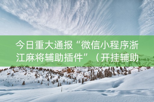 今日重大通报“微信小程序浙江麻将辅助插件”（开挂辅助器插件)