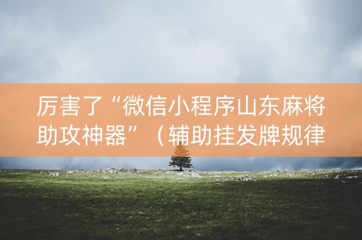 厉害了“微信小程序山东麻将助攻神器”（辅助挂发牌规律)