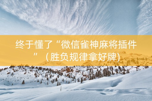 终于懂了“微信雀神麻将插件”（胜负规律拿好牌)