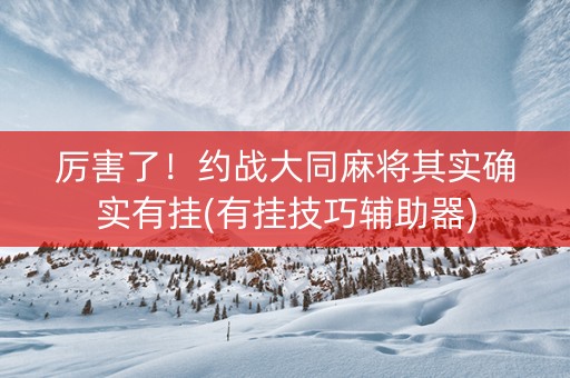 厉害了！约战大同麻将其实确实有挂(有挂技巧辅助器)