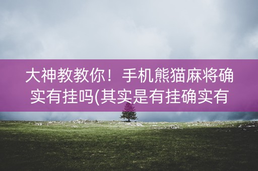 大神教教你！手机熊猫麻将确实有挂吗(其实是有挂确实有挂)
