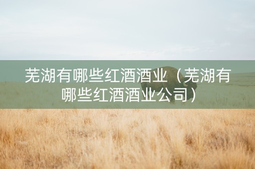 芜湖有哪些红酒酒业（芜湖有哪些红酒酒业公司）