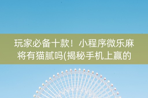 玩家必备十款！小程序微乐麻将有猫腻吗(揭秘手机上赢的诀窍)