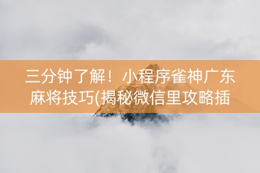 三分钟了解！小程序雀神广东麻将技巧(揭秘微信里攻略插件)