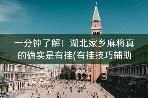 一分钟了解！湖北家乡麻将真的确实是有挂(有挂技巧辅助器)