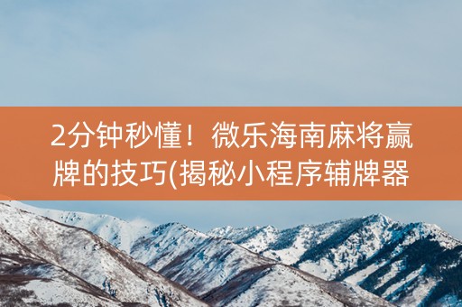 2分钟秒懂！微乐海南麻将赢牌的技巧(揭秘小程序辅牌器)