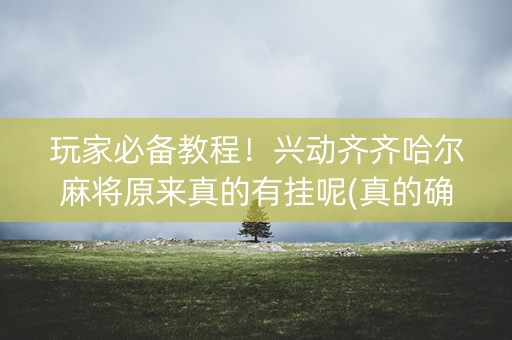 玩家必备教程！兴动齐齐哈尔麻将原来真的有挂呢(真的确实是有挂)