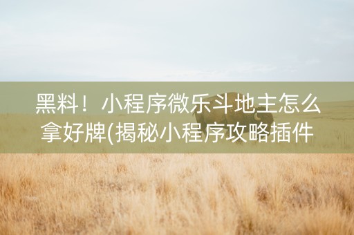 黑料！小程序微乐斗地主怎么拿好牌(揭秘小程序攻略插件)