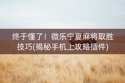 终于懂了！微乐宁夏麻将取胜技巧(揭秘手机上攻略插件)