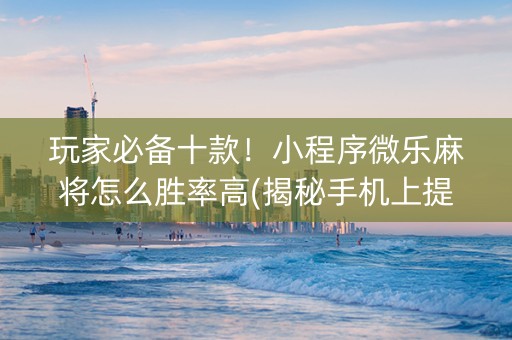 玩家必备十款！小程序微乐麻将怎么胜率高(揭秘手机上提高胜率)