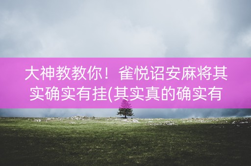 大神教教你！雀悦诏安麻将其实确实有挂(其实真的确实有挂)