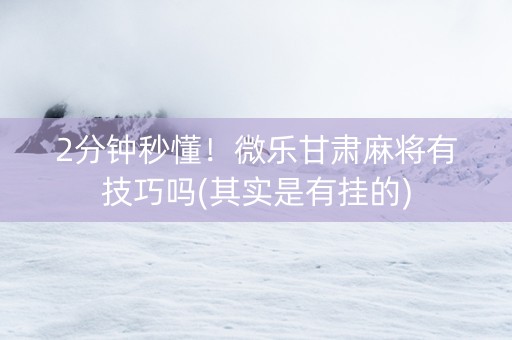 2分钟秒懂！微乐甘肃麻将有技巧吗(其实是有挂的)