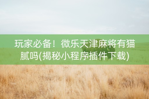 玩家必备！微乐天津麻将有猫腻吗(揭秘小程序插件下载)