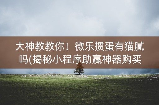 大神教教你！微乐掼蛋有猫腻吗(揭秘小程序助赢神器购买)