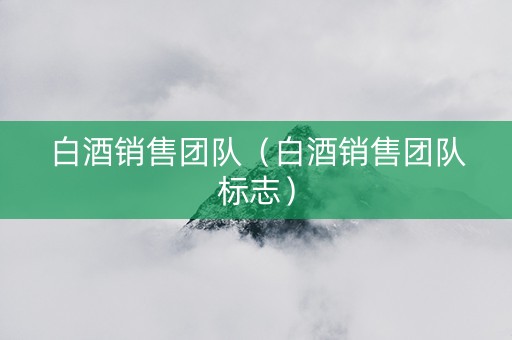 白酒销售团队（白酒销售团队标志）