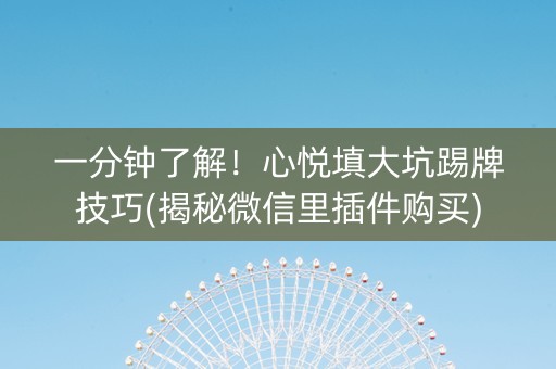 一分钟了解！心悦填大坑踢牌技巧(揭秘微信里插件购买)