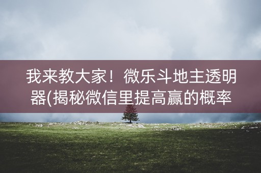 我来教大家！微乐斗地主透明器(揭秘微信里提高赢的概率)