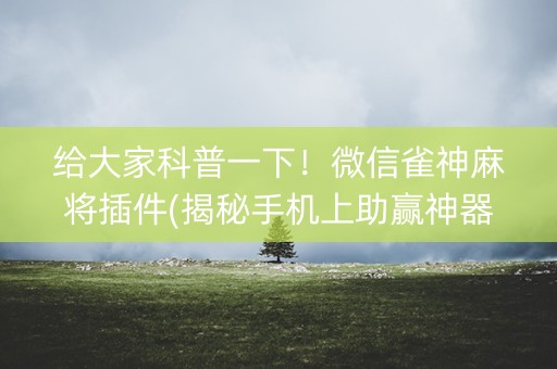 给大家科普一下！微信雀神麻将插件(揭秘手机上助赢神器购买)