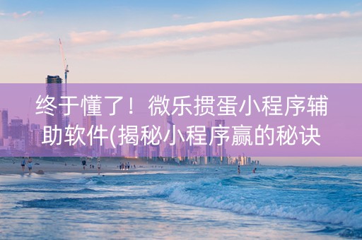 终于懂了！微乐掼蛋小程序辅助软件(揭秘小程序赢的秘诀)