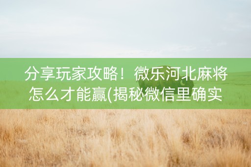 分享玩家攻略！微乐河北麻将怎么才能赢(揭秘微信里确实有猫腻)