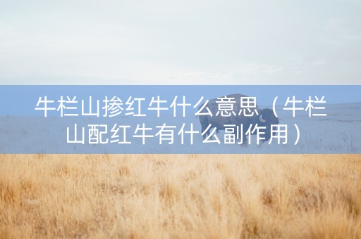 牛栏山掺红牛什么意思（牛栏山配红牛有什么副作用）