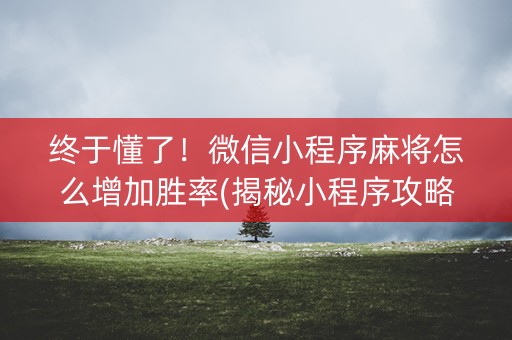 终于懂了！微信小程序麻将怎么增加胜率(揭秘小程序攻略插件)