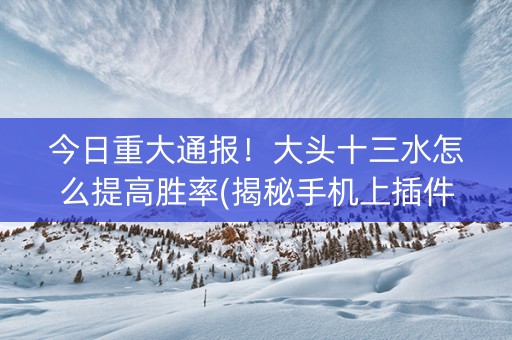 今日重大通报！大头十三水怎么提高胜率(揭秘手机上插件购买)