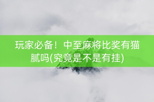 玩家必备！中至麻将比奖有猫腻吗(究竟是不是有挂)