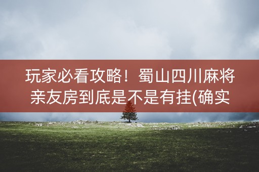玩家必看攻略！蜀山四川麻将亲友房到底是不是有挂(确实是有挂的)
