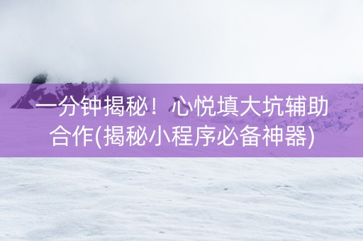 一分钟揭秘！心悦填大坑辅助合作(揭秘小程序必备神器)