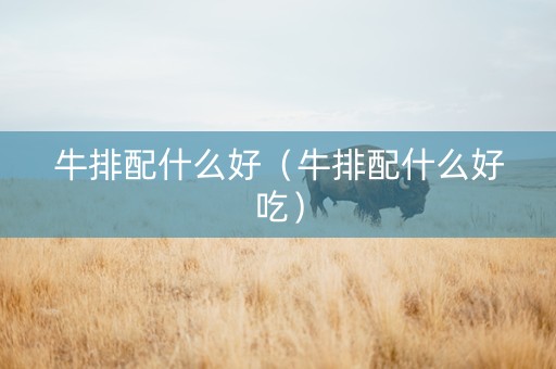 详细阅读:牛排配什么好(牛排配什么好吃) 牛排配什么好(牛排配什么好吃)
