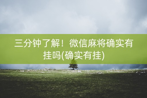 三分钟了解！微信麻将确实有挂吗(确实有挂)