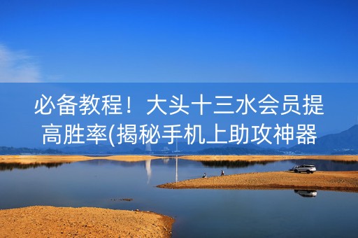 必备教程！大头十三水会员提高胜率(揭秘手机上助攻神器)