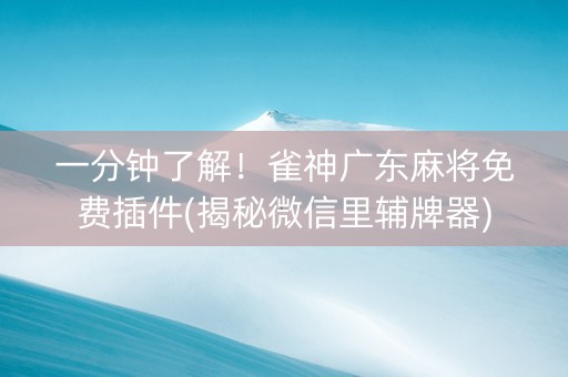 一分钟了解！雀神广东麻将免费插件(揭秘微信里辅牌器)