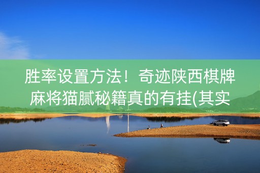 胜率设置方法！奇迹陕西棋牌麻将猫腻秘籍真的有挂(其实真的有挂)