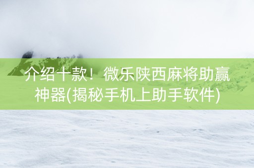 介绍十款！微乐陕西麻将助赢神器(揭秘手机上助手软件)