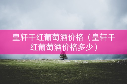 皇轩干红葡萄酒价格（皇轩干红葡萄酒价格多少）
