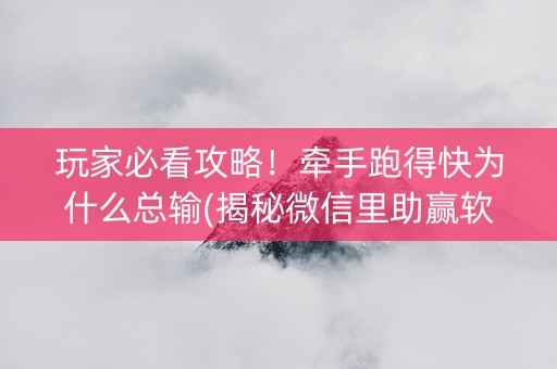 玩家必看攻略！牵手跑得快为什么总输(揭秘微信里助赢软件)