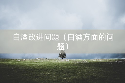 白酒改进问题（白酒方面的问题）