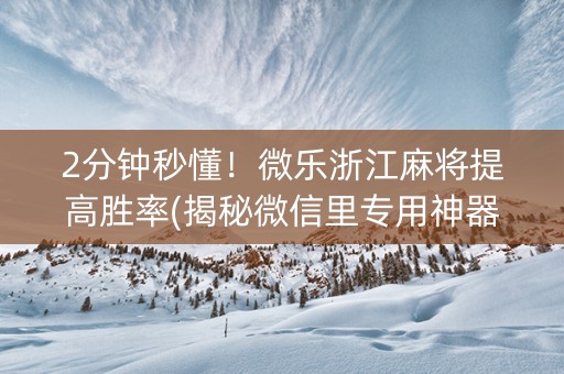 2分钟秒懂！微乐浙江麻将提高胜率(揭秘微信里专用神器)
