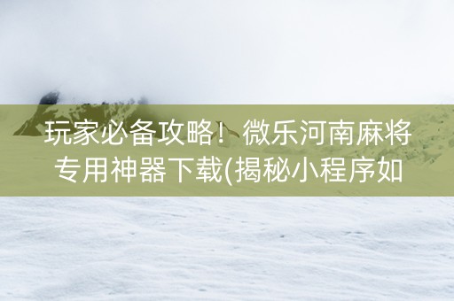 玩家必备攻略！微乐河南麻将专用神器下载(揭秘小程序如何让牌变好)