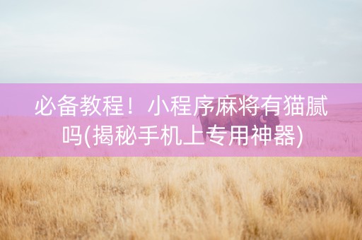 必备教程！小程序麻将有猫腻吗(揭秘手机上专用神器)