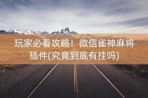 玩家必看攻略！微信雀神麻将插件(究竟到底有挂吗)