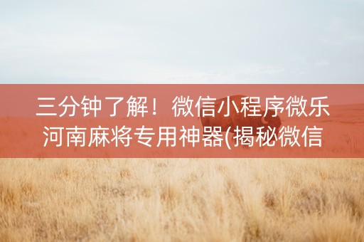 三分钟了解！微信小程序微乐河南麻将专用神器(揭秘微信里胡牌神器)