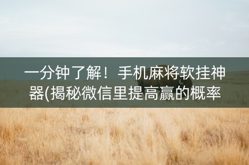 一分钟了解！手机麻将软挂神器(揭秘微信里提高赢的概率)