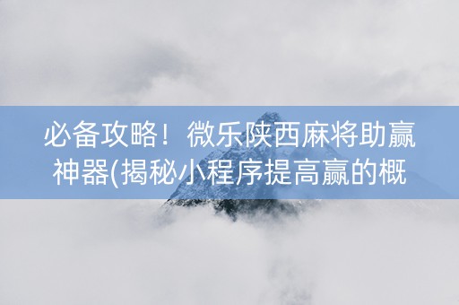 必备攻略！微乐陕西麻将助赢神器(揭秘小程序提高赢的概率)
