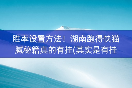 胜率设置方法！湖南跑得快猫腻秘籍真的有挂(其实是有挂确实有挂)