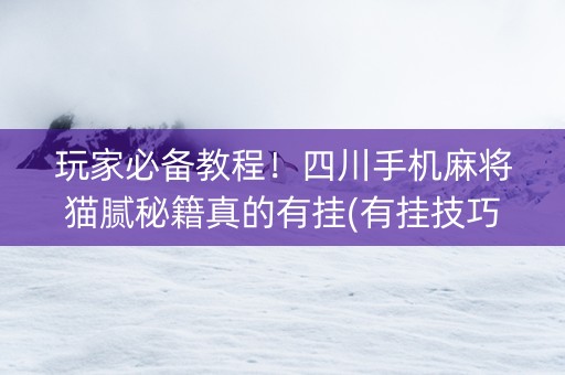 玩家必备教程！四川手机麻将猫腻秘籍真的有挂(有挂技巧辅助器)