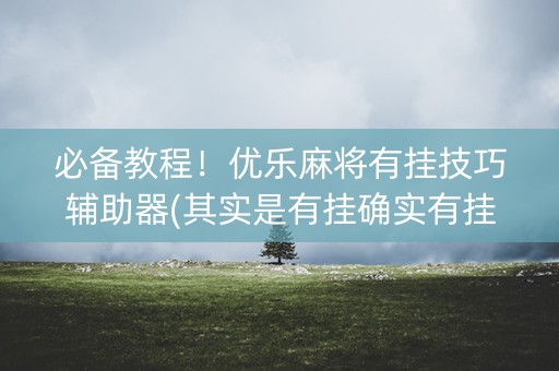 必备教程！优乐麻将有挂技巧辅助器(其实是有挂确实有挂)
