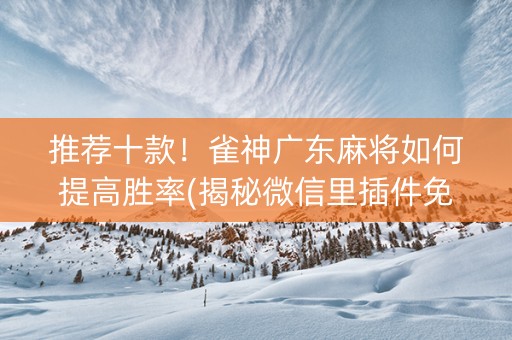 推荐十款！雀神广东麻将如何提高胜率(揭秘微信里插件免费)